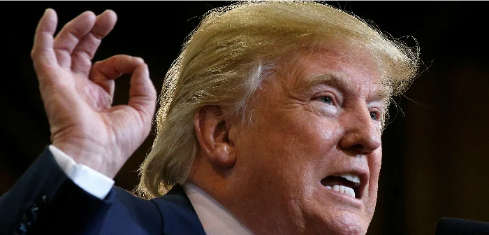 The Trump presidency will only add more uncertainty to this wild picture, for several reasons that we can identify today.