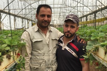 Rajai and Musaab Fayyad in their greenhouse at The Brothers Farm, Zababdeh, West Bank, May 3, 2016. Marda Dunsky for the Cairo Review