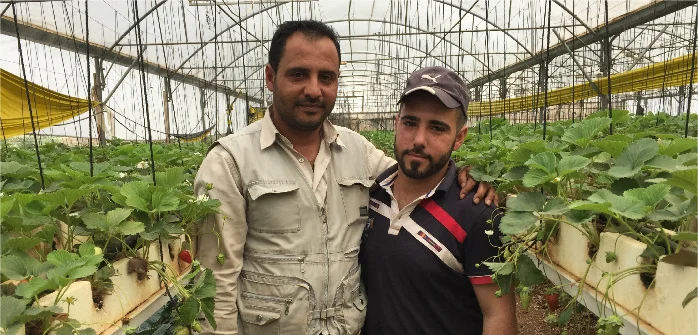 Rajai and Musaab Fayyad in their greenhouse at The Brothers Farm, Zababdeh, West Bank, May 3, 2016. Marda Dunsky for the Cairo Review