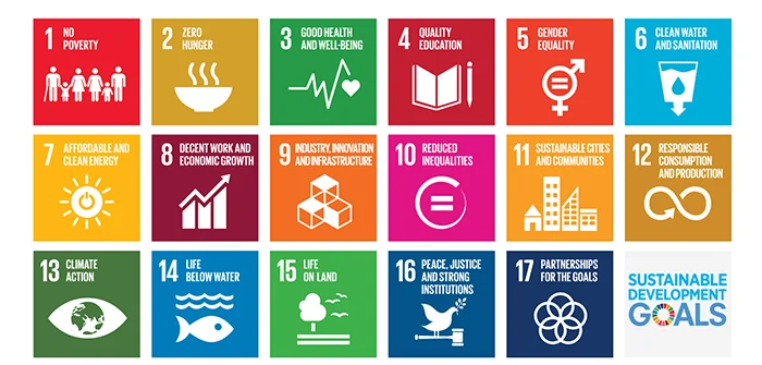 SDG Poster, UN website.