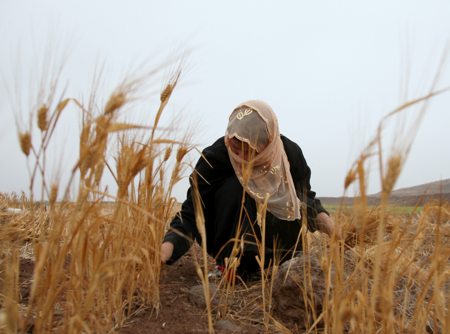 Climate Change, Conflict, and Gender Inequality in the MENA Region ...