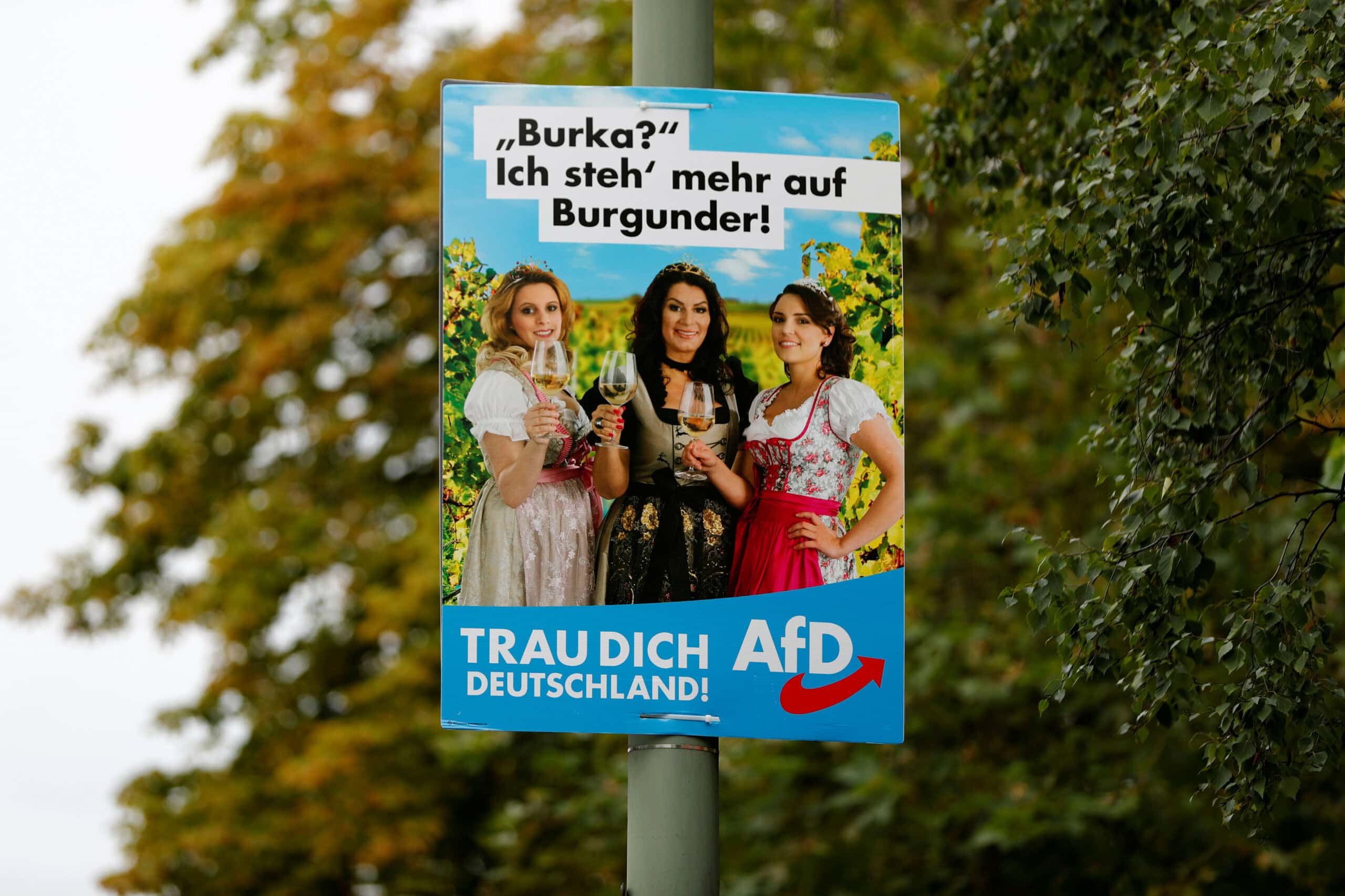 Using Sex to Sell Racism: How AfD Policies Defy Logic